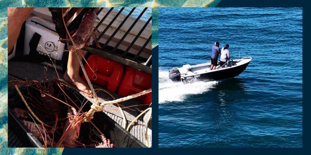 Fishing for Western Rock Lobster off Ocean Reef Marina. 